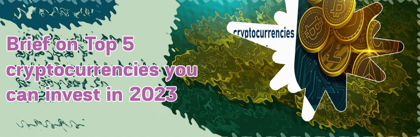 5 best cryptocurrencies