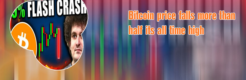 Bitcoin price crashed on thanks bug