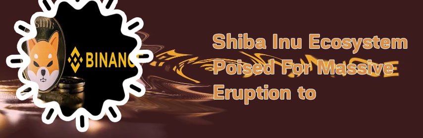Crypto shib