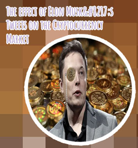 Elon cryptocurrency price