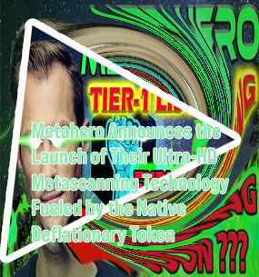 Meta hero crypto