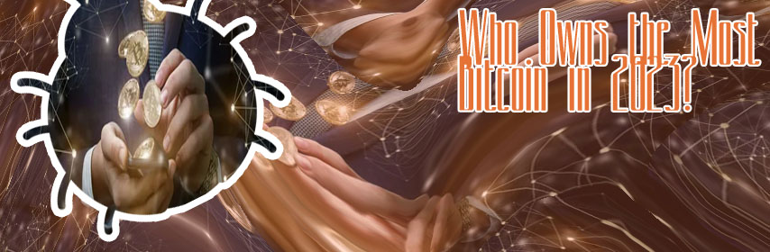 Who hold the most bitcoin