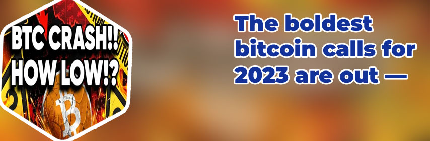Will bitcoin go up again